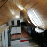 Rent 1 bedroom house of 25 m² in Pécs