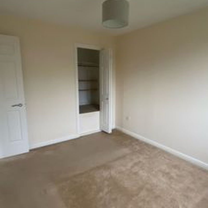 Detached house to rent in Mount Way, Chepstow, Monmouthshire NP16