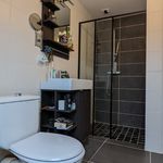 Rent 2 bedroom apartment of 32 m² in Saint-Coulitz