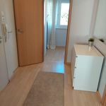Rent 2 bedroom apartment of 56 m² in Leverkusen