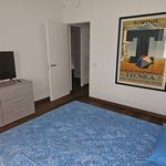 Rent 1 bedroom apartment of 90 m² in Torino