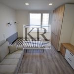Rent 1 bedroom apartment of 33 m² in Pardubice