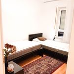 Rent 3 bedroom apartment of 80 m² in Heidelberg