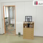 Rent 1 bedroom apartment in Benešov