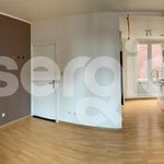 Rent 2 bedroom apartment of 27 m² in Lille