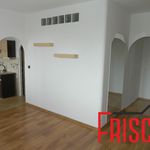 Pronajměte si 2 ložnic/e byt o rozloze 37 m² v Provodov-Šonov