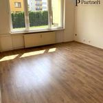 Rent 1 bedroom apartment of 40 m² in Ostrava