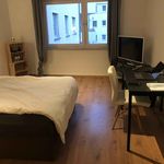 Miete 3 Schlafzimmer studentenwohnung von 15 m² in Frankfurt