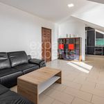 Rent 2 bedroom apartment of 63 m² in Konstantinovy Lázně