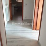 Rent 5 bedroom apartment of 140 m² in Catanzaro