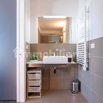 Rent 1 bedroom apartment of 50 m² in Venezia