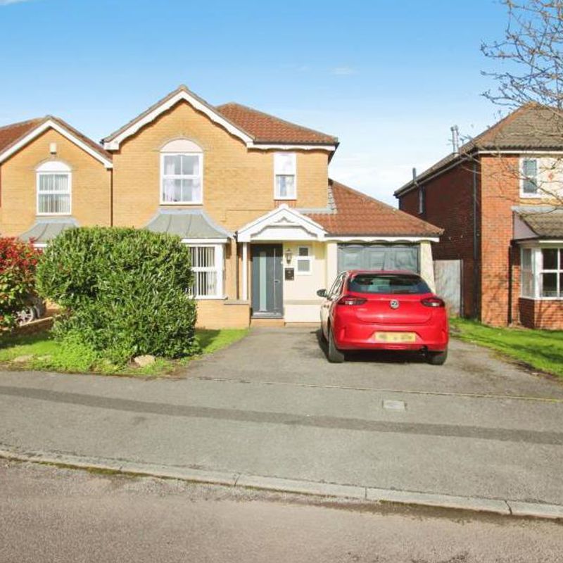 3 bedroom house to let, Victoria Park, Bristol  | Ocean Estate Agents Windmill Hill
