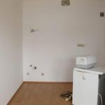 Rent 1 bedroom apartment of 40 m² in Langau