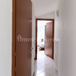 Rent 2 bedroom apartment of 67 m² in Rome