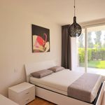Rent 1 bedroom apartment of 45 m² in Jesolo