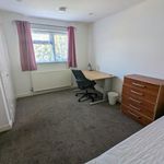 Rent 6 bedroom student apartment in Hatfield