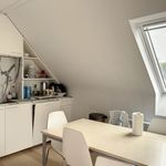 Huur 1 slaapkamer huis van 194 m² in Grimbergen