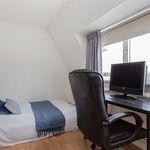 Rent 1 bedroom house in Enschede