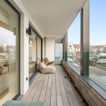 Rent 2 bedroom apartment of 82 m² in Knokke-Heist
