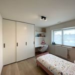 Huur 3 slaapkamer huis van 276 m² in Roeselare