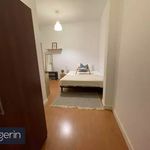 Rent 8 bedroom apartment in Tauste