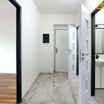 Rent 3 bedroom apartment of 70 m² in Osek