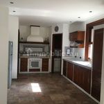 Rent 5 bedroom house of 180 m² in Palermo