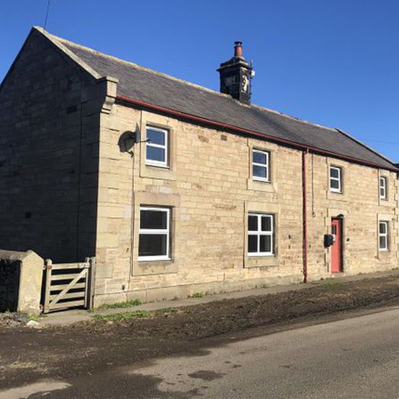 Detached house to rent in New Bewick, Eglingham, Alnwick NE66 Rugley