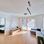 Pronajměte si 2 ložnic/e byt o rozloze 47 m² v Senička
