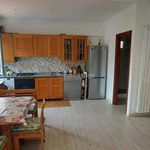 Affitto 3 camera casa di 110 m² in Ladispoli