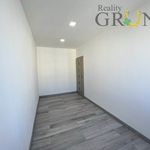 Rent 1 bedroom apartment of 65 m² in Karviná