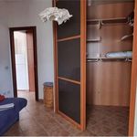 Affitto 3 camera casa di 70 m² in Pomezia