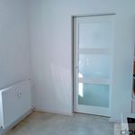 Rent 1 bedroom apartment of 27 m² in Ostrava