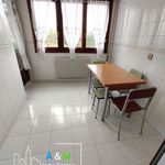 Rent 3 bedroom apartment of 100 m² in Vitoria-Gasteiz