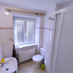 Rent 1 bedroom apartment in Plzeň-sever