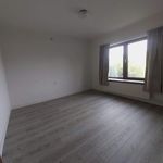 Huur 3 slaapkamer huis van 800 m² in Lennik