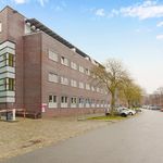 Rent 1 bedroom apartment of 23 m² in Hoornwerk