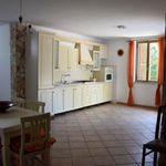 Rent 1 bedroom house of 100 m² in Cassino