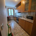 Rent 3 bedroom apartment of 85 m² in Sestola