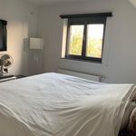 Rent 3 bedroom apartment in Lede