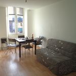 Rent 1 bedroom apartment of 28 m² in Figeac