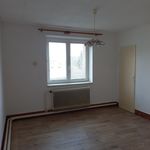 Rent 3 bedroom apartment in Trutnov