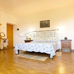 Rent 2 bedroom apartment of 40 m² in Città di Castello