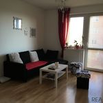 Rent 1 bedroom apartment of 55 m² in Zlín