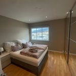 Rent 2 bedroom apartment of 41 m² in Bergen