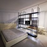 Rent 1 bedroom apartment of 40 m² in Caserta