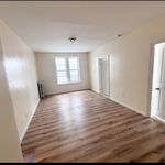Rent 2 bedroom apartment of 66 m² in Brooklyn