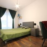 Rent 1 bedroom apartment of 48 m² in Kraków