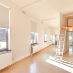 Rent 1 bedroom apartment in Leuven