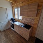 Rent 3 bedroom house of 60 m² in Debrecen